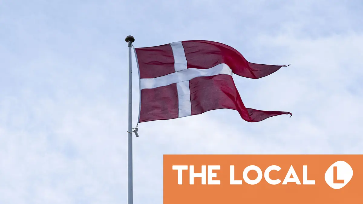 How the make up of the Danish population could change by 2100