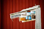 Inside Sweden: Don't turn your nose up at these stinky parties