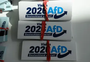 'Welcome culture to farewell culture': The AfD's plans for Saxony-Anhalt