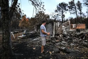 OPINION: As French wildfires still burn, the 'blame the Greens' deflection has begun