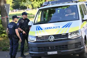 Suspect arrested in Switzerland's fatal rave shooting